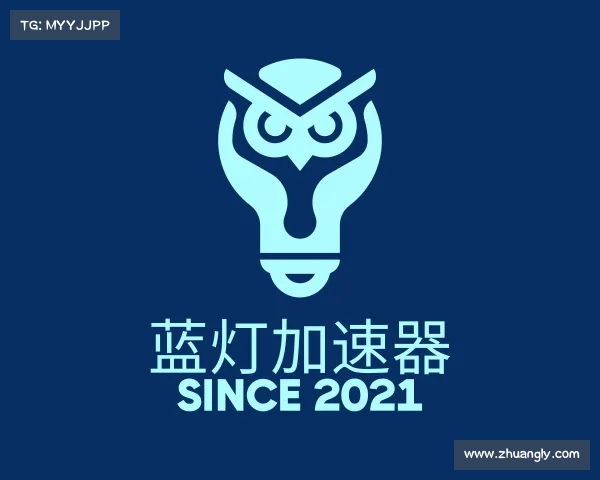 认识蓝灯加速器